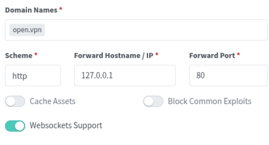Установка OpenVpn с помощью Portainer - Image 7