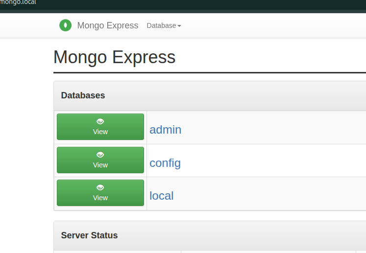 Установка MongoDB и Mongo Express с помощью Portainer - Image 6
