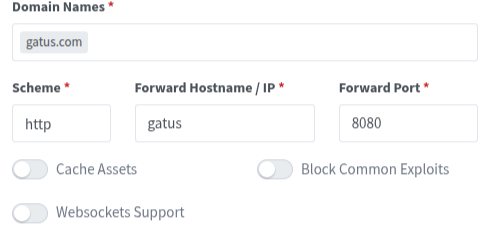 Установка Gatus с помощью Portainer - Image 4 Установка Gatus с помощью Portainer - Image 4