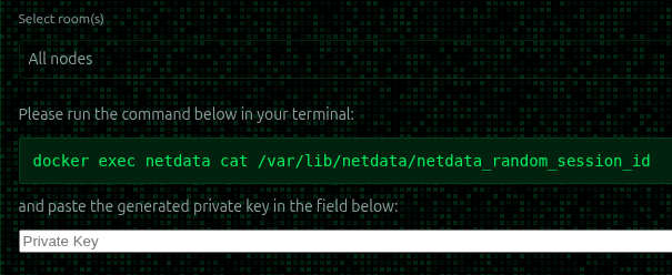 Встановлення NetData за допомогою Portainer - Image 6 Встановлення NetData за допомогою Portainer - Image 6