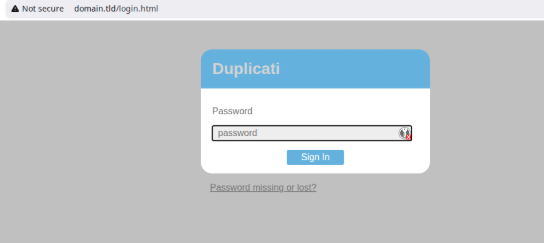 Installing Duplicati with Portainer - Image 11 Installing Duplicati with Portainer - Image 11