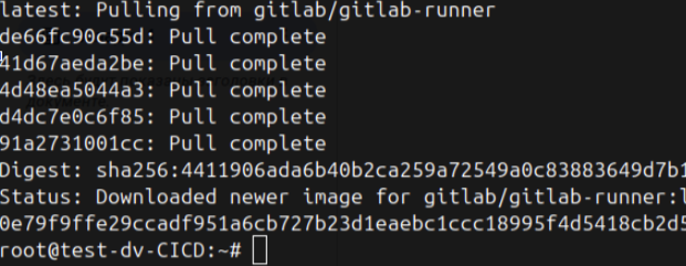 Setting up a basic project deployment (CI/CD) - Image 11