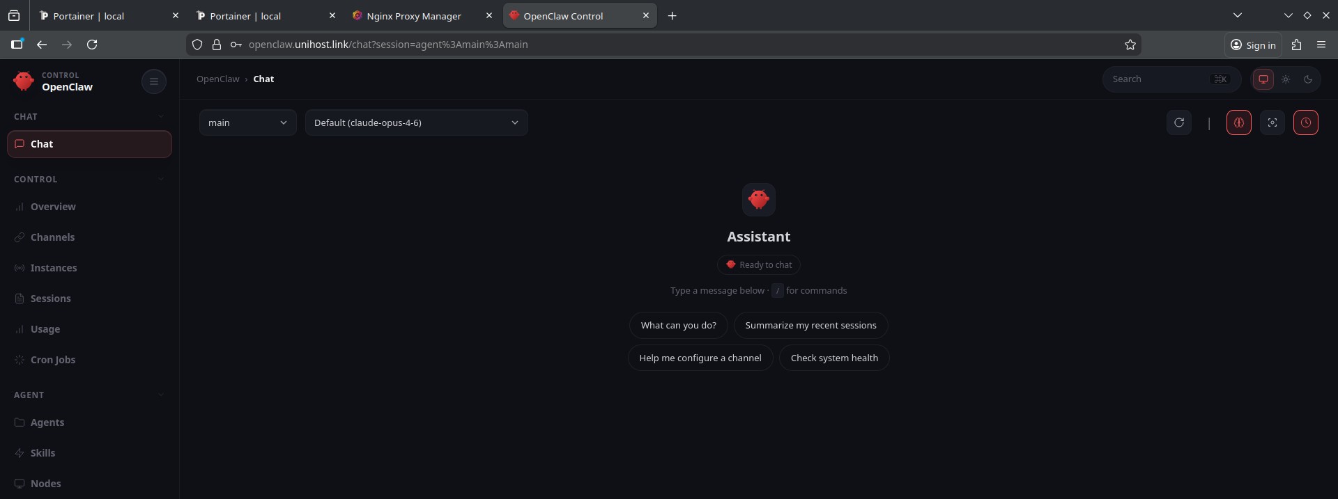 Установка OpenClaw с Portainer - Image 8